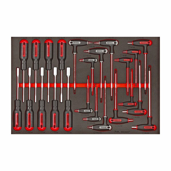 Teng Tools 23 Piece Nut Driver And T Handle Wrench Set In Eva - Ttex23 TEN-O-TTEX23